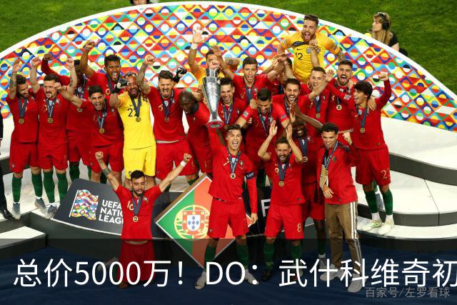 总价5000万！DO：武什科维奇初始转会费4600万镑，热刺有二转分成